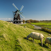 Buy canvas prints of Mill of Pellworm by Thomas Schaeffer