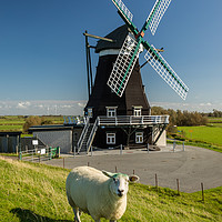 Buy canvas prints of Mill of Pellworm by Thomas Schaeffer