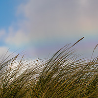 Buy canvas prints of Rainbow dunes by Thomas Schaeffer