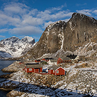 Buy canvas prints of Hamnoy harbour by Thomas Schaeffer