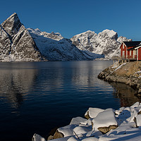 Buy canvas prints of Hamnoy harbour by Thomas Schaeffer