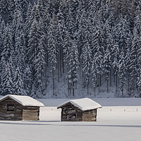 Buy canvas prints of Austrian winter by Thomas Schaeffer