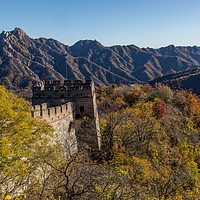 Buy canvas prints of Chinese Wall at Mutianyu by Thomas Schaeffer