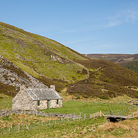 Buy canvas prints of Highland in den Cairngorms by Thomas Schaeffer