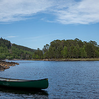 Buy canvas prints of Glen Affric by Thomas Schaeffer