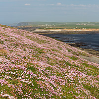 Buy canvas prints of Brough of Birsay by Thomas Schaeffer