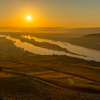 Buy canvas prints of Sunrise over Rhine by Thomas Schaeffer