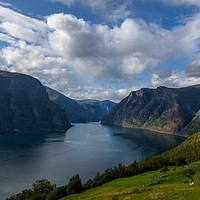 Buy canvas prints of Aurlandsfjord by Thomas Schaeffer