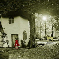 Buy canvas prints of Little Red Riding Hood by Susie Hawkins