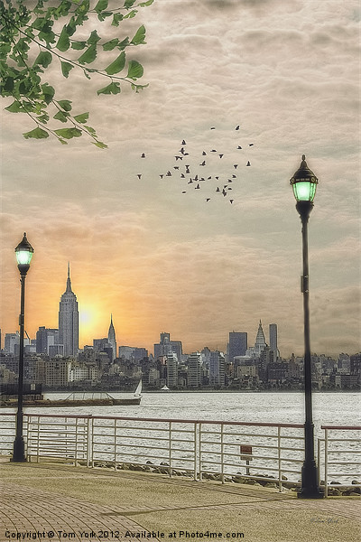GOOD MORNING NEW YORK Framed Print by Tom York