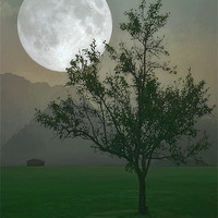 Buy canvas prints of MOONLIGHT ON THE PLAINS by Tom York
