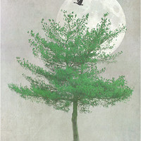 Buy canvas prints of A TREE IN THE MOONLIGHT by Tom York