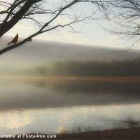 Buy canvas prints of LAKESIDE SERENITY by Tom York