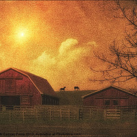 Buy canvas prints of THE FARM by Tom York
