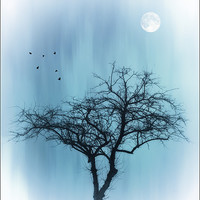 Buy canvas prints of A TREE IN BLUE by Tom York