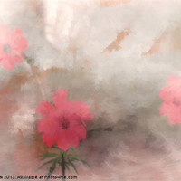 Buy canvas prints of PINK FLORAL ABSTRACT by Tom York
