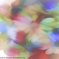 Buy canvas prints of DAISY FLORAL ABSTRACT by Tom York