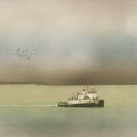 Buy canvas prints of THE BROWN TUG by Tom York