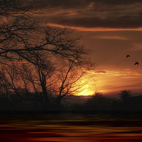 Buy canvas prints of APRIL SUNSET by Tom York