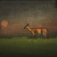 Buy canvas prints of Wildlife At Sunset by Tom York