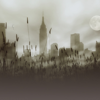 Buy canvas prints of New York In The Fog by Tom York