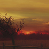 Buy canvas prints of Rural Sunset by Tom York