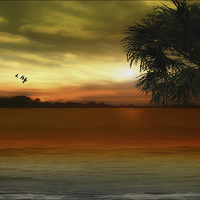 Buy canvas prints of Tropical Serenity by Tom York