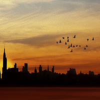 Buy canvas prints of Another New York Sunrise by Tom York
