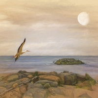 Buy canvas prints of  The Stork And The Sea by Tom York