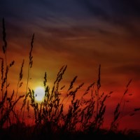 Buy canvas prints of Nocturnal Sunset by Tom York
