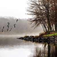 Buy canvas prints of Fog On The Lake by Tom York
