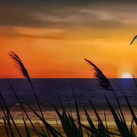 Buy canvas prints of Summer At The Beach by Tom York