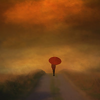 Buy canvas prints of Lady With A Red Umbrella by Tom York