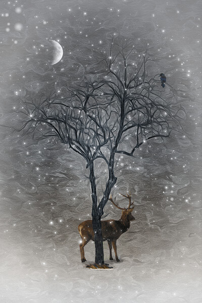 A Naked Tree Framed Print by Tom York