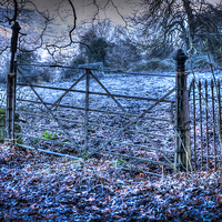 Buy canvas prints of Frosty Gateway To The Cotswolds by Simon Litchfield