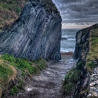 Buy canvas prints of Pathway To Lansallos Cove by Simon Litchfield