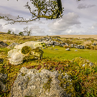 Buy canvas prints of Dartmoor National Park Whiteworks Abandoned Tin Mi by Simon Litchfield