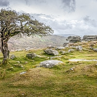 Buy canvas prints of Dartmoor National Park Combstone Tor by Simon Litchfield