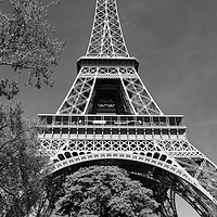 Buy canvas prints of Eiffel Tower by Dave Livsey