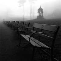 Buy canvas prints of Fogbound Benches. by Roy Barry