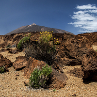 Buy canvas prints of Mount Teide, Tenerife(5) by Geoff Storey