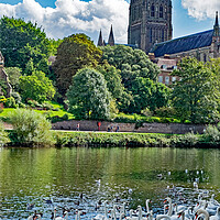 Buy canvas prints of Swans at Worcester by Joyce Storey