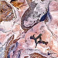 Buy canvas prints of Seaweed on Rocks by Joyce Storey