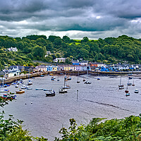 Buy canvas prints of From the path above Lower Fishguard by Joyce Storey