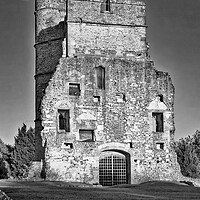 Buy canvas prints of Donnington Castle near Newbury  by Joyce Storey