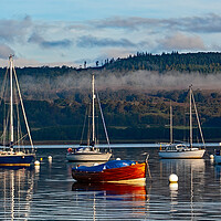 Buy canvas prints of A Misty Morning at Loch Creran  by Joyce Storey