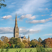 Buy canvas prints of Salisbury Cathedral from the Meadows  by Joyce Storey