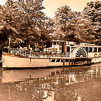 Buy canvas prints of Yarmouth Belle by Joyce Storey