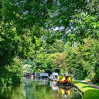 Buy canvas prints of Canal Greenery by Joyce Storey