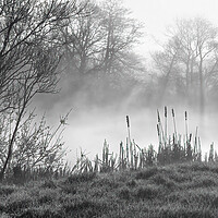 Buy canvas prints of Peaceful misty morning by Joyce Storey
